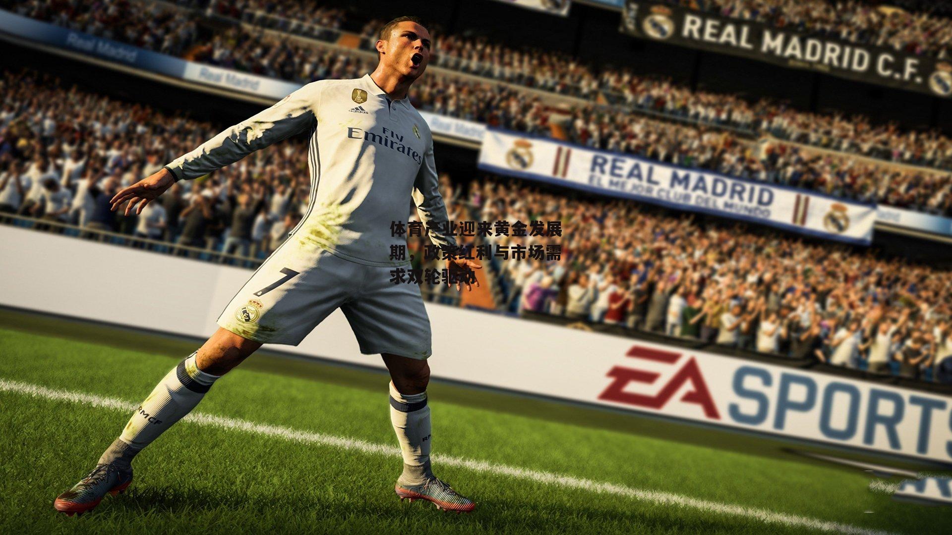 体育产业迎来黄金发展期，政策红利与市场需求双轮驱动